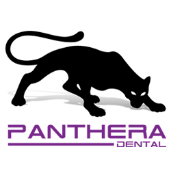 panthera final logo